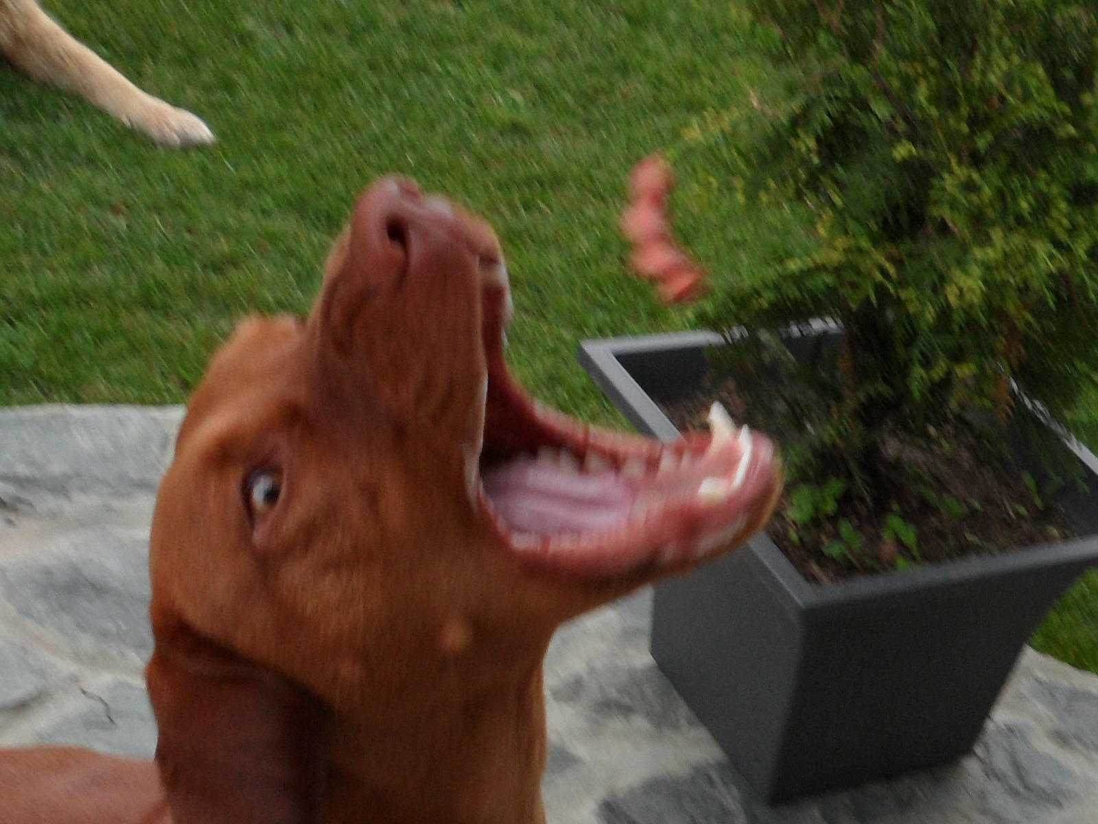 SAM_0191.JPG